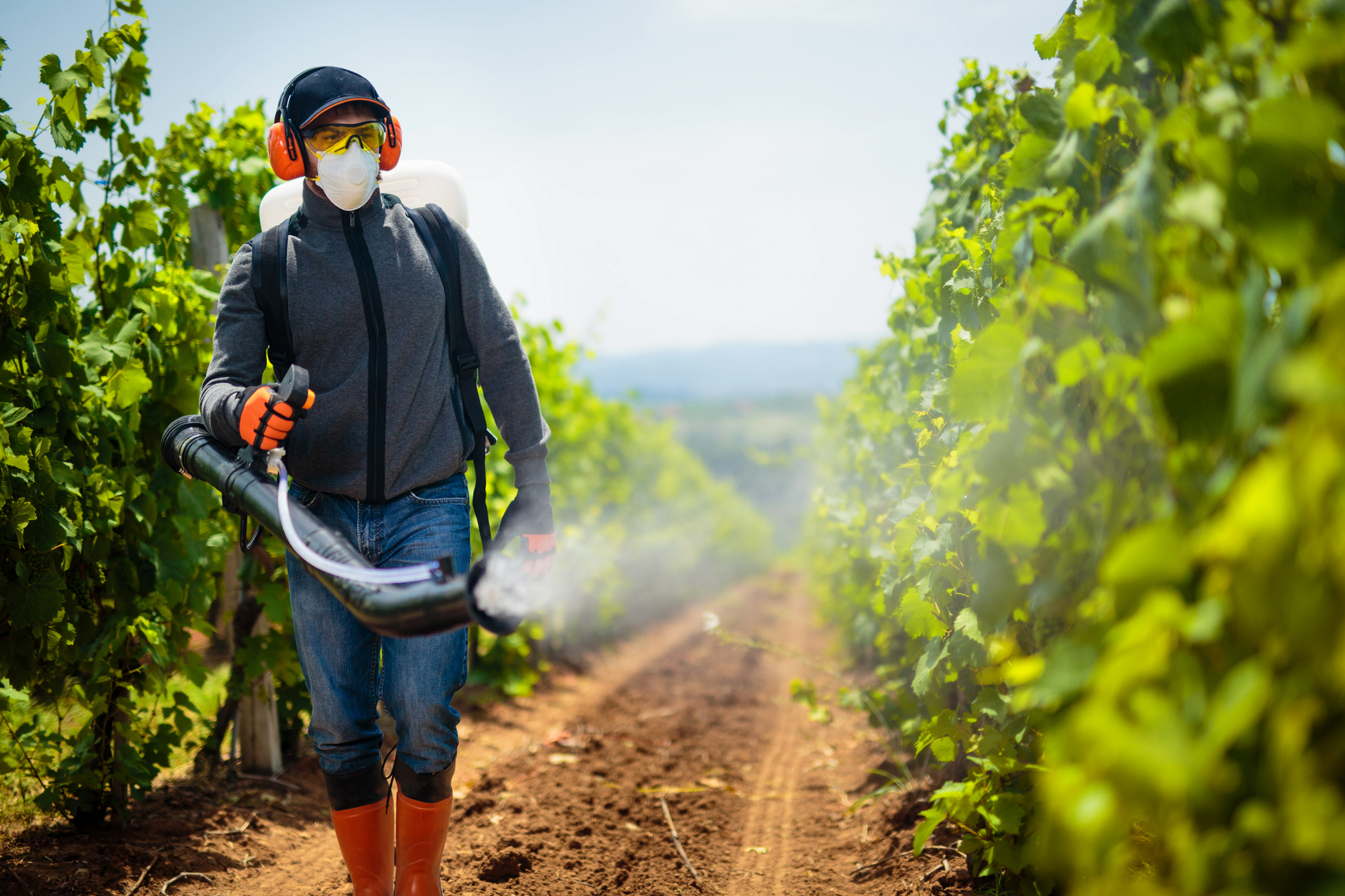 Agriculture worker. Young farmer spraying pesticides. Taking care about vineyard.